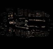 Homo naledi
