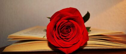 Book with rose