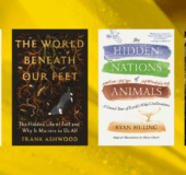Higher education titles on biological diversity
